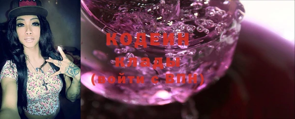 молекула духа Лабытнанги
