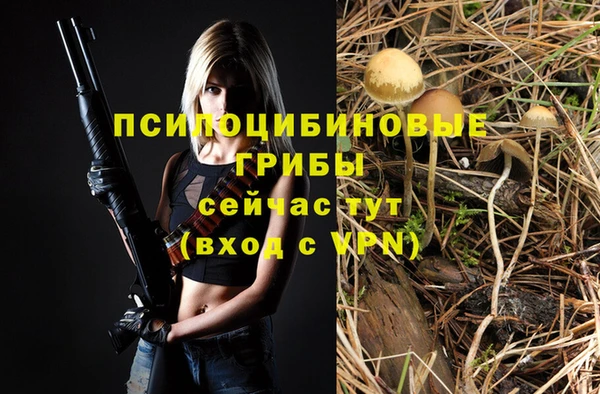 прущая мука Ладушкин