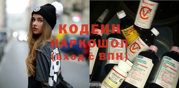 молекула духа Лабытнанги
