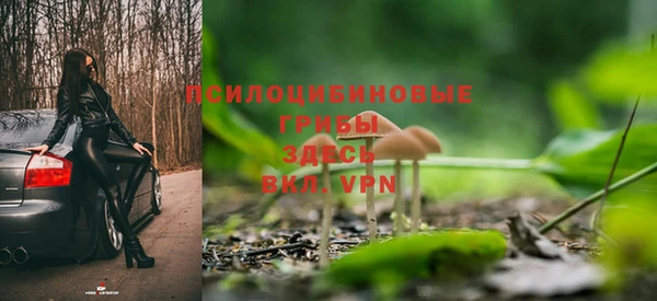 дурь Пересвет