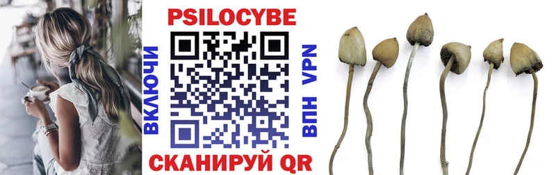 ссылка на мегу ТОР  Называевск  Галлюциногенные грибы Magic Shrooms 